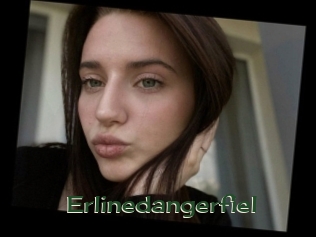 Erlinedangerfiel