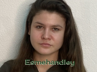 Esmehandley