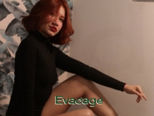 Evacage