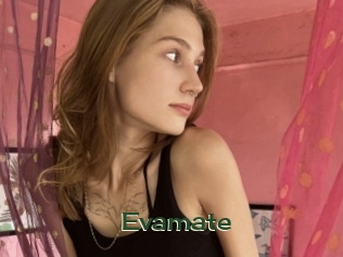 Evamate