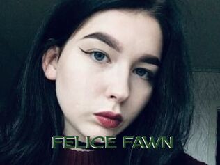 FELICE_FAWN Vidéos Kochonnes