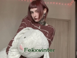 Felixwinter