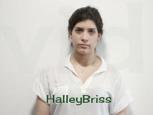 HalleyBriss Vidéos Kochonnes