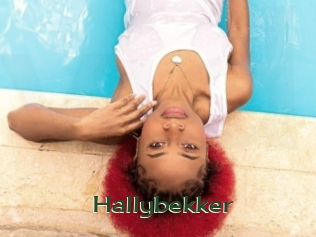 Hallybekker