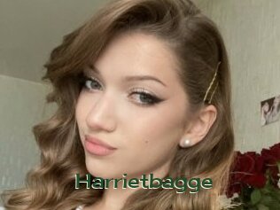 Harrietbagge