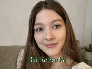 hollisbarks Vidéos Kochonnes