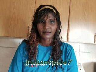Indianspice7