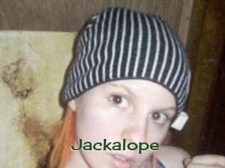 Jackalope