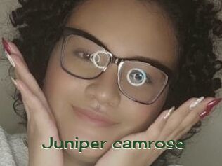 Juniper_camrose