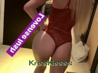 KrissKissss