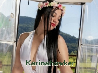 Karinahawker