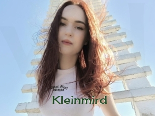 Kleinmird