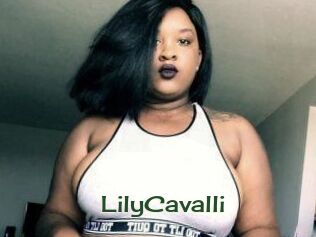 Lily_Cavalli