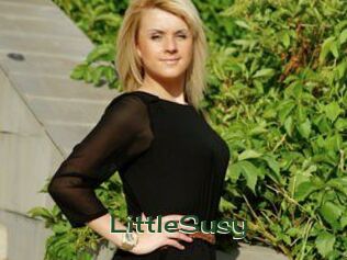 LittleSusy