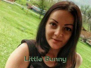 Little_Bunny_ Vidéos Kochonnes