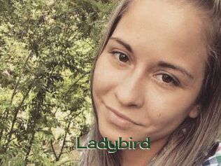 Ladybird