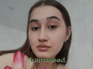 lamareed Vidéos Kochonnes