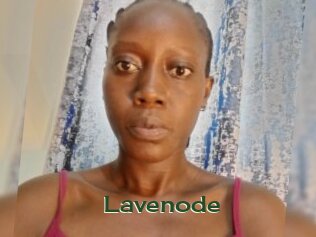 Lavenode
