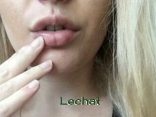 lechat Vidéos Kochonnes