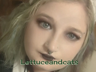Lettuceandcats