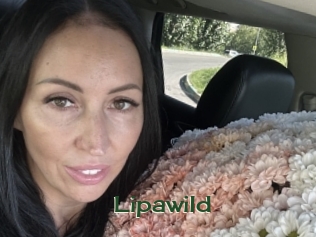 lipawild Vidéos Kochonnes
