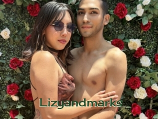 Lizyandmarks