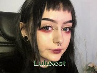 luluxcat Vidéos Kochonnes