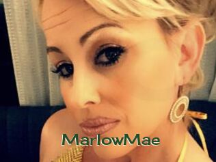 MarlowMae Vidéos Kochonnes