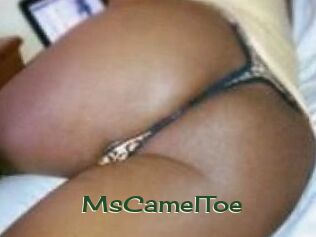 MsCamelToe