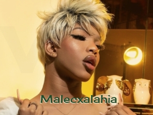 malecxalahia Vidéos Kochonnes