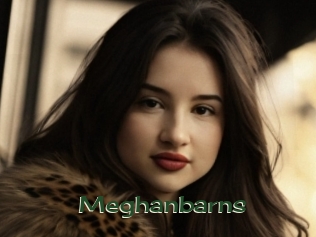 Meghanbarns