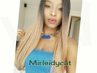 Mirleidycat
