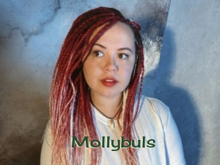 Mollybuls