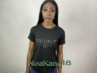 NoaKane18