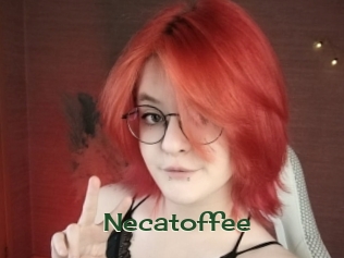 necatoffee Vidéos Kochonnes