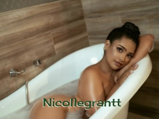 nicollegrantt Vidéos Kochonnes