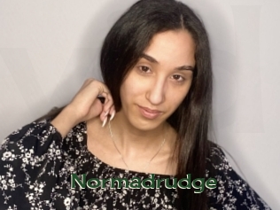 Normadrudge