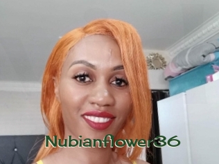 nubianflower36 Vidéos Kochonnes