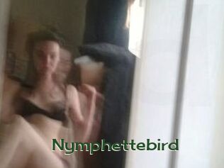 Nymphettebird