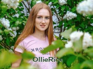 OllieRice