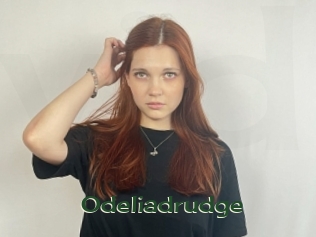 Odeliadrudge