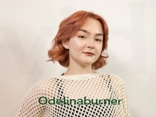Odelinaburner