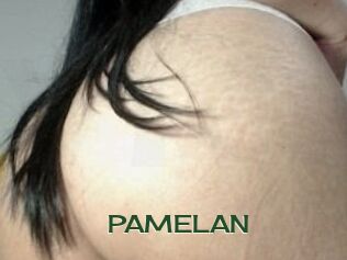 PAMELA_N