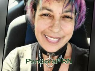 PandoraPRN Vidéos Kochonnes
