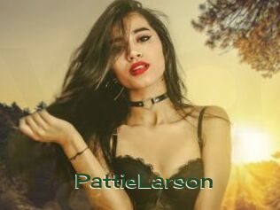 PattieLarson Vidéos Kochonnes
