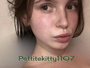 Pettitekitty1107