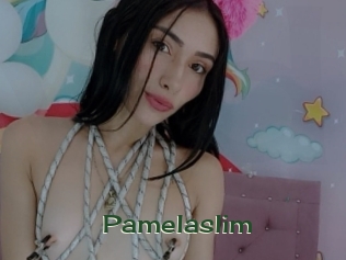 pamelaslim Vidéos Kochonnes
