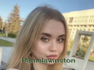 pamelawinston Vidéos Kochonnes