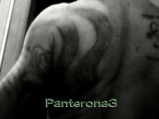 panterona3 Vidéos Kochonnes