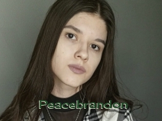Peacebrandon